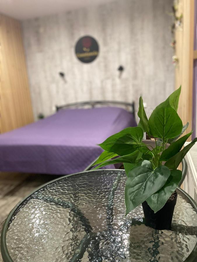 Constancia Otel Kamyanets-Podilski Dış mekan fotoğraf